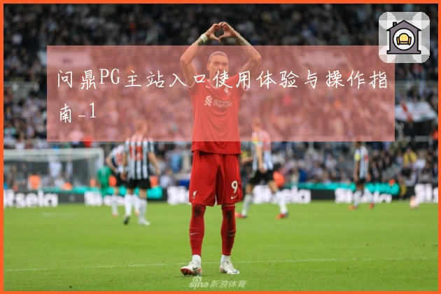 问鼎PG主站入口使用体验与操作指南_1