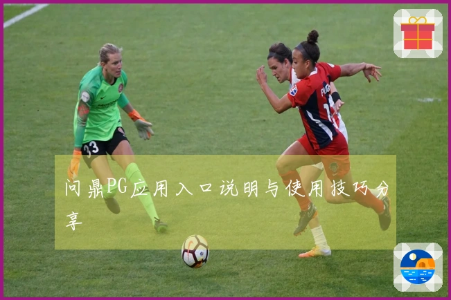 问鼎PG应用入口说明与使用技巧分享