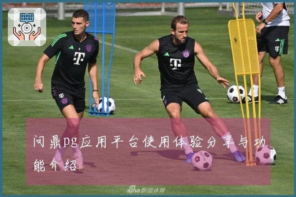 问鼎pg应用平台使用体验分享与功能介绍