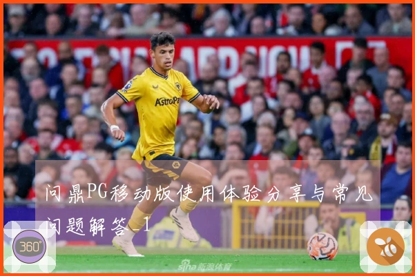 问鼎PG移动版使用体验分享与常见问题解答_1