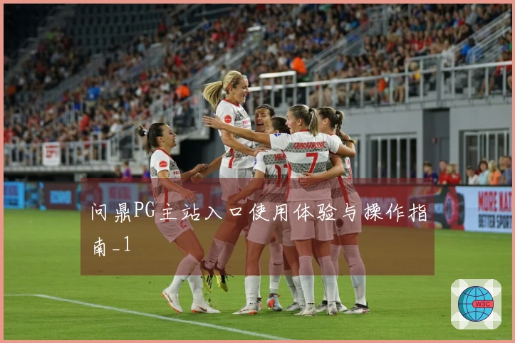 问鼎PG主站入口使用体验与操作指南_1