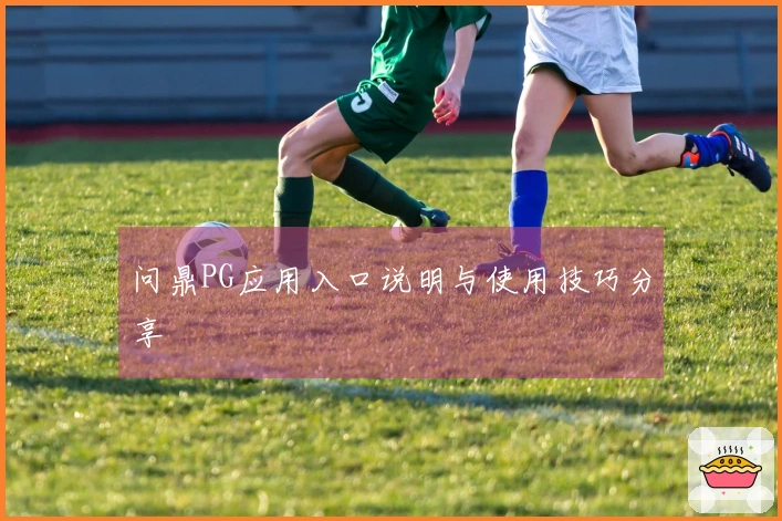 问鼎PG应用入口说明与使用技巧分享