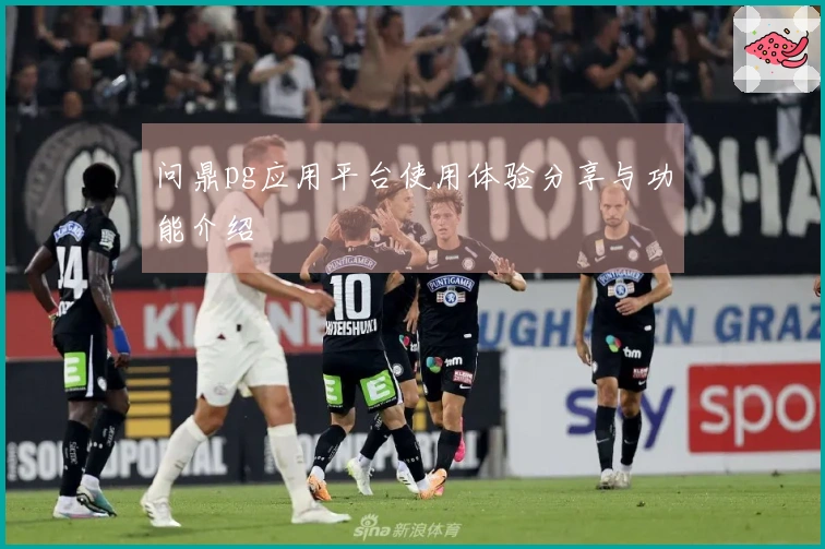 问鼎pg应用平台使用体验分享与功能介绍