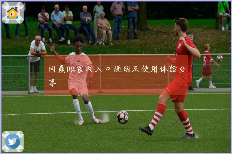 问鼎pg官网入口说明及使用体验分享
